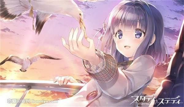 Study Steady学习版