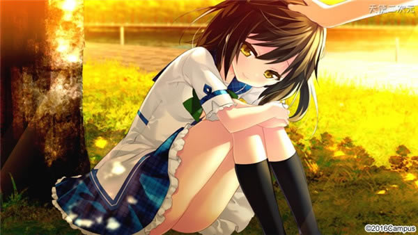 �ļ�����ϵ��ѧϰ�����