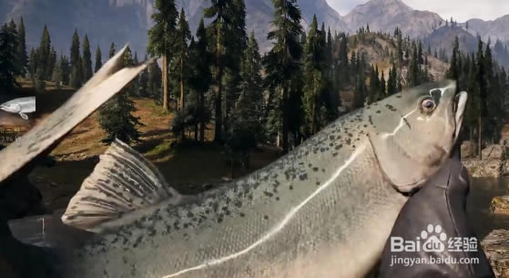 �µ�����5��ε���