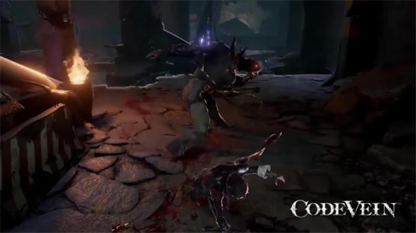 ����Ѫ���������ѧϰ�桿��Ѫ�������ĺ��������� ���ѧϰ��-���ĵ���