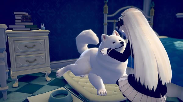 ����֮������ѧϰ��