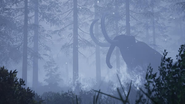 ��������ѧϰ��1