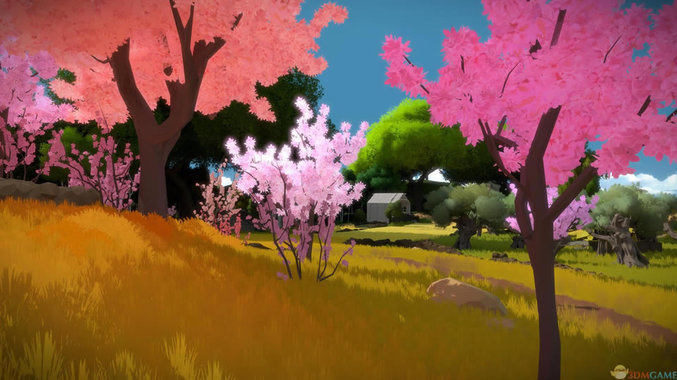 ��֤����Ϸ����