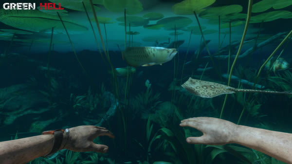 �����ֵ���ѧϰ�桿���ֵ���������ʽ��ѧϰ������ ��ɫ�ⰲװ���İ�-���ĵ���