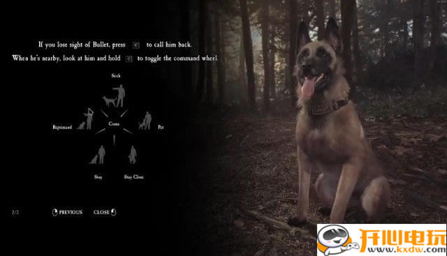 ��������Ů����Ϸ���ء�������Ů��ѧϰ��(Blair Witch) ������Ѱ�-���ĵ���