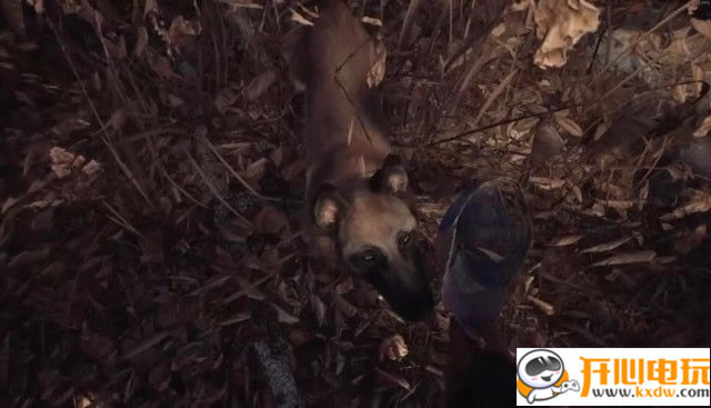 ��������Ů����Ϸ���ء�������Ů��ѧϰ��(Blair Witch) ������Ѱ�-���ĵ���