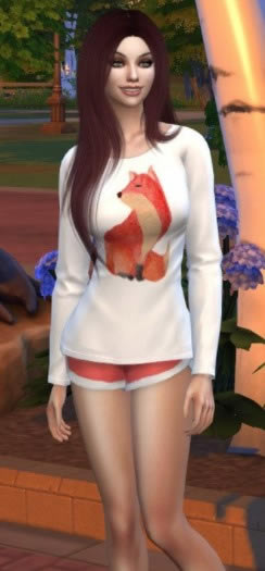 ģ4ˮʳMOD_ģ4ˮʺ곤MOD v1.0 neinahpets-ĵ