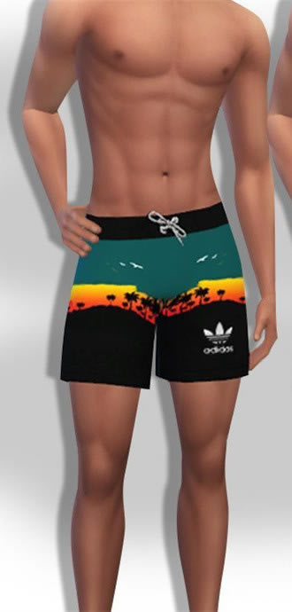 ģ������4����Ӿ��MOD_ģ������4��ʿ����Ӿ��MOD v1.0 Saliwa��-���ĵ���