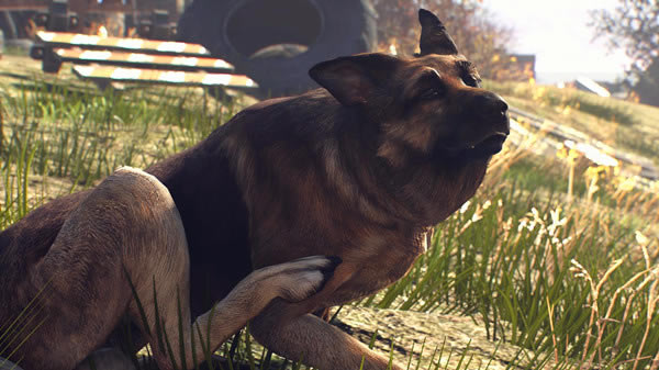 ����4����mod_����4�������ư湷�� ��ɫ��-���ĵ���