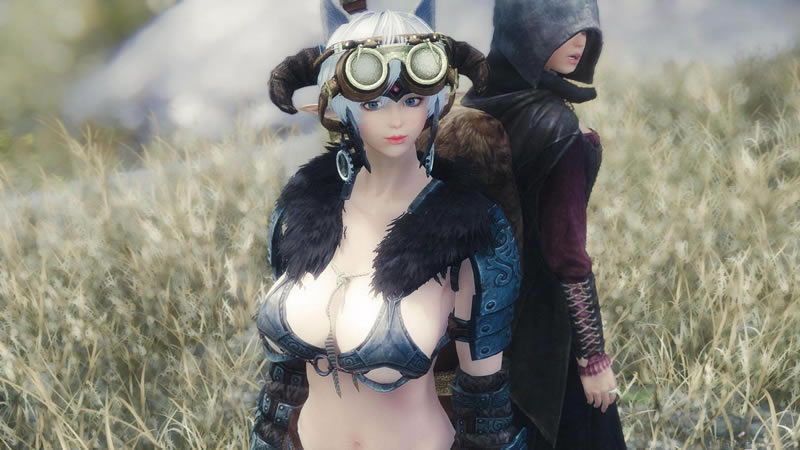 上古卷轴5随从MOD_《上古卷轴5》小葵!小葵!独立随从MOD-开心电玩