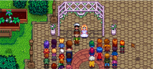 ��¶�����ﺺ�����鹥��6