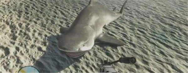 �µ�����3���İ�ɱ���㹥��5