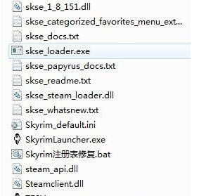 SKSE_Ϲž5ModSKSEɫ-ĵ