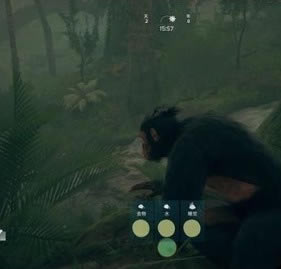 ��������µ������İ������������ý���9