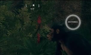 ��������µ������İ������������ý���7