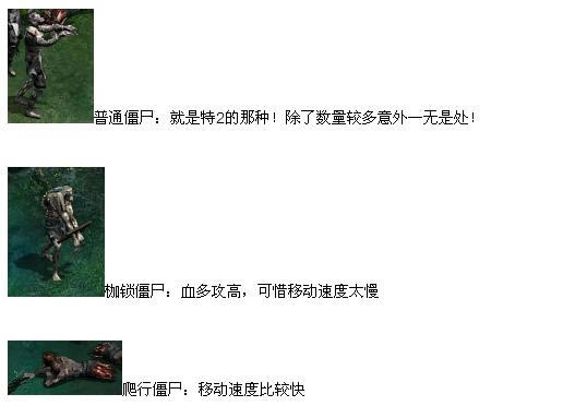 ��Eע����-���֮·