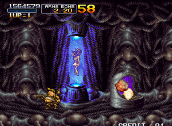 �Ͻ�ͷ6�ֻ���