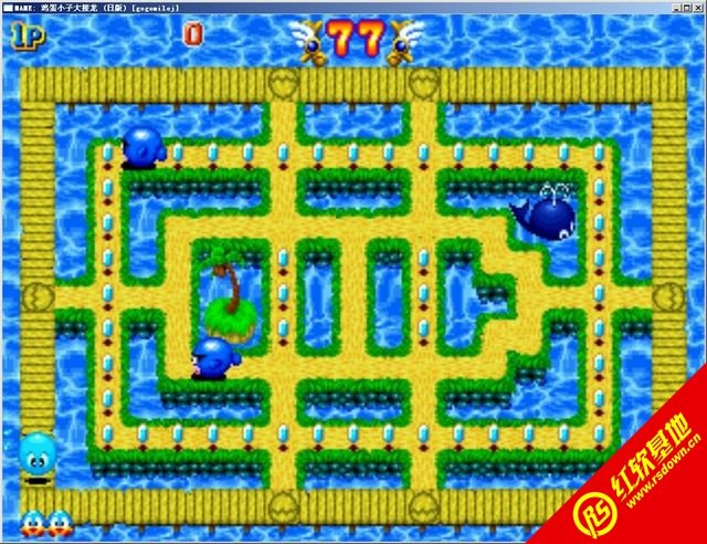 鸡蛋小子大接龙