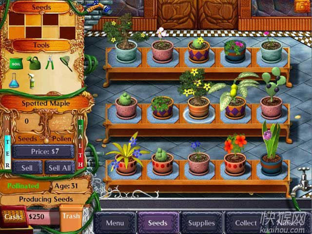 ���������Ϸ��վ