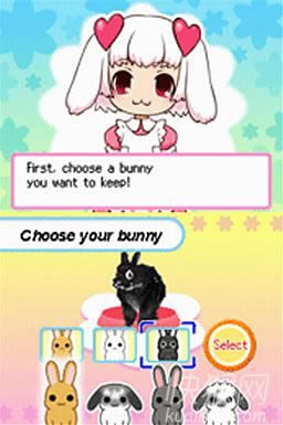 宠物兔游戏本站