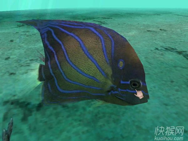 �λú�����Ϸ��վ