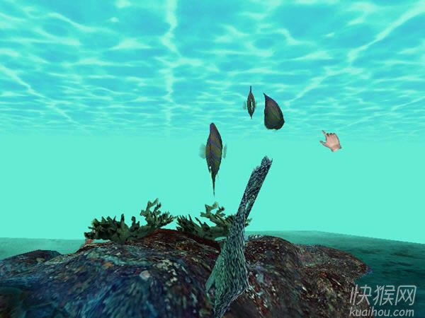 �λú�����Ϸ��վ