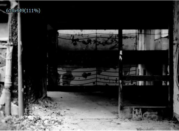 ����׵Ķ�����Ϸ��վ