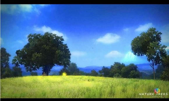 自然苦旅:色彩的心灵关怀游戏本站