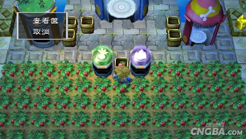 �����������Ͼ��������PC����Ϸ��վ