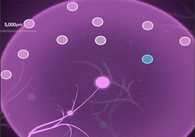 ��ͻ��Ϸ��վ