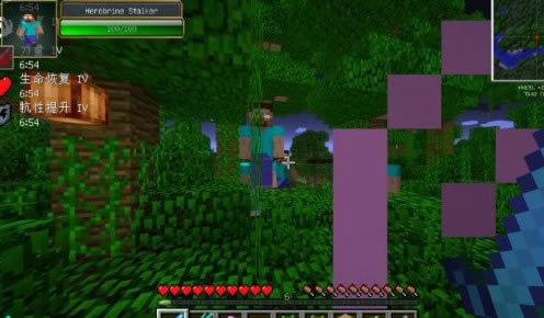Minecraft1.5.2him���ϰ�|�ҵ�����1.5.2С����ĺ��棡him���޴�������Ϸ