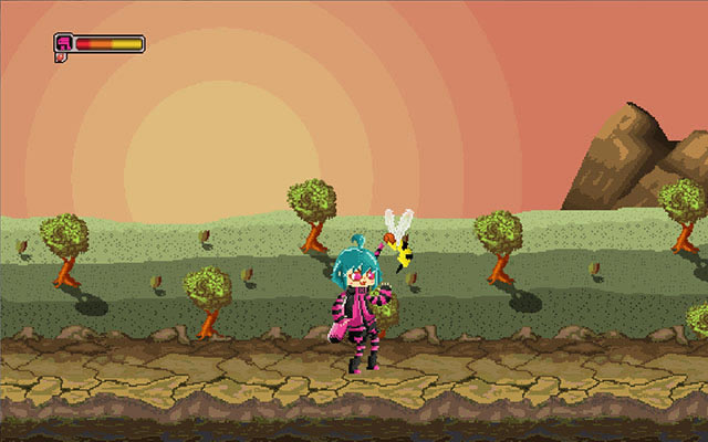 ��ŷ���������������