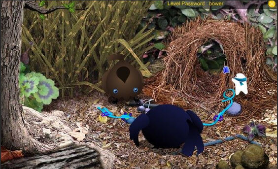 ��ñС��������